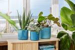 the ocean collection round 16cm atlantic blue